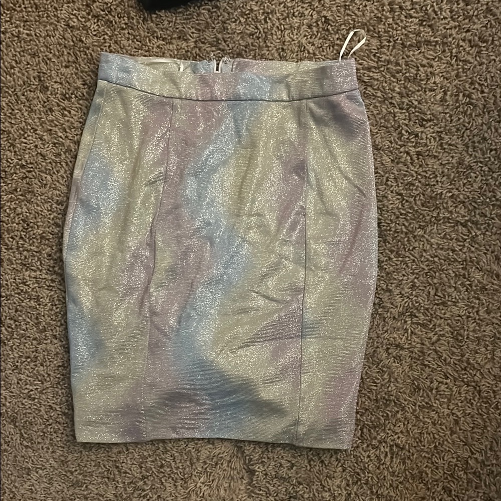 Shimmering Silver Women's Skirt